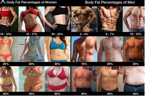 bodyfat